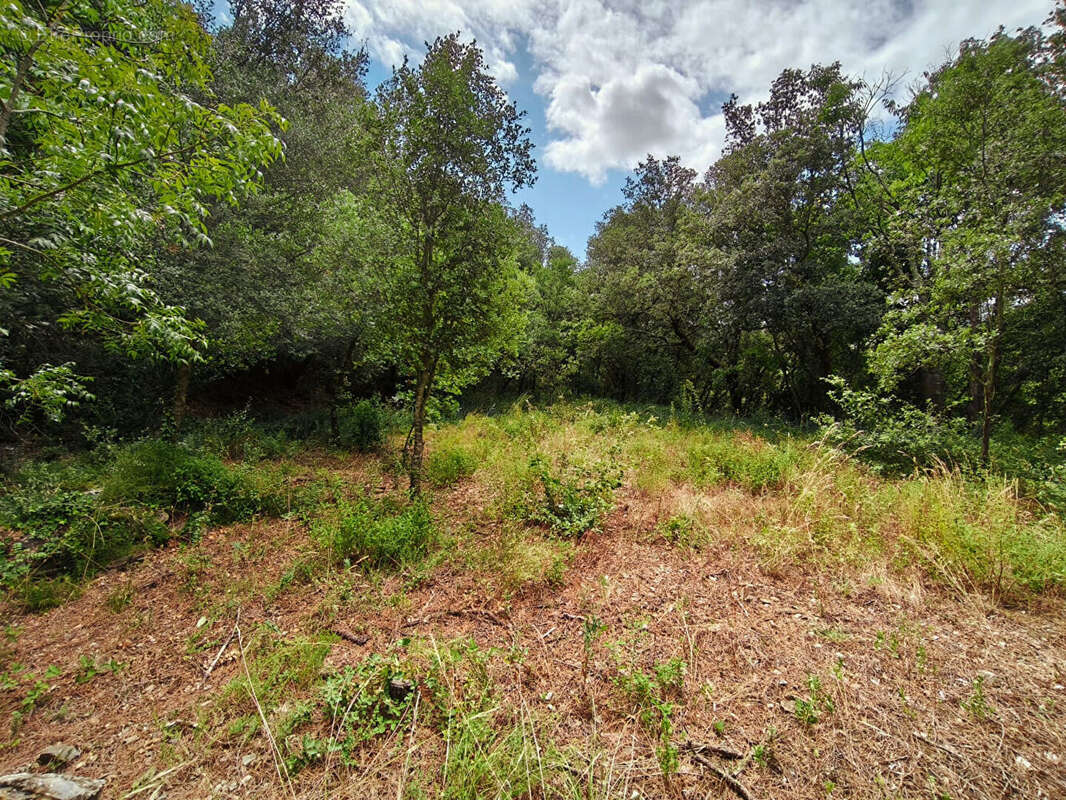 Terrain à MAUREILLAS-LAS-ILLAS