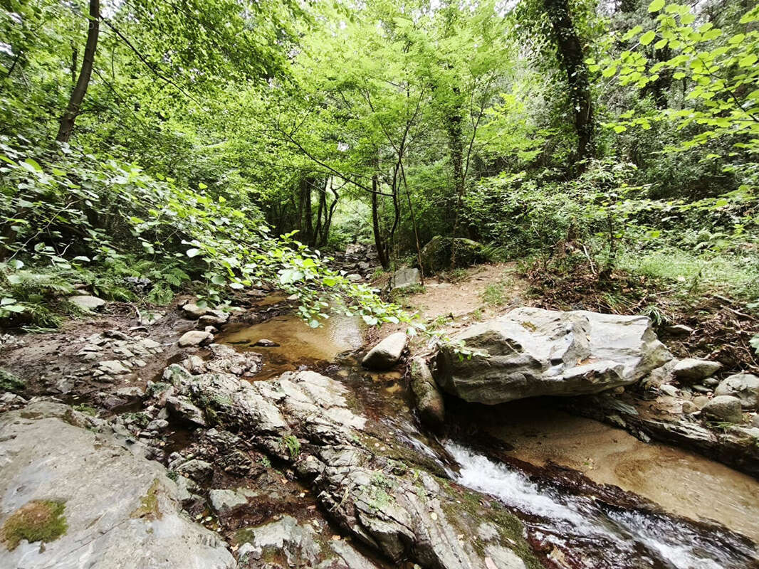 Terrain à MAUREILLAS-LAS-ILLAS