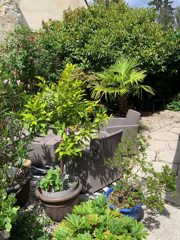 Maison à VIEUX-MOULIN