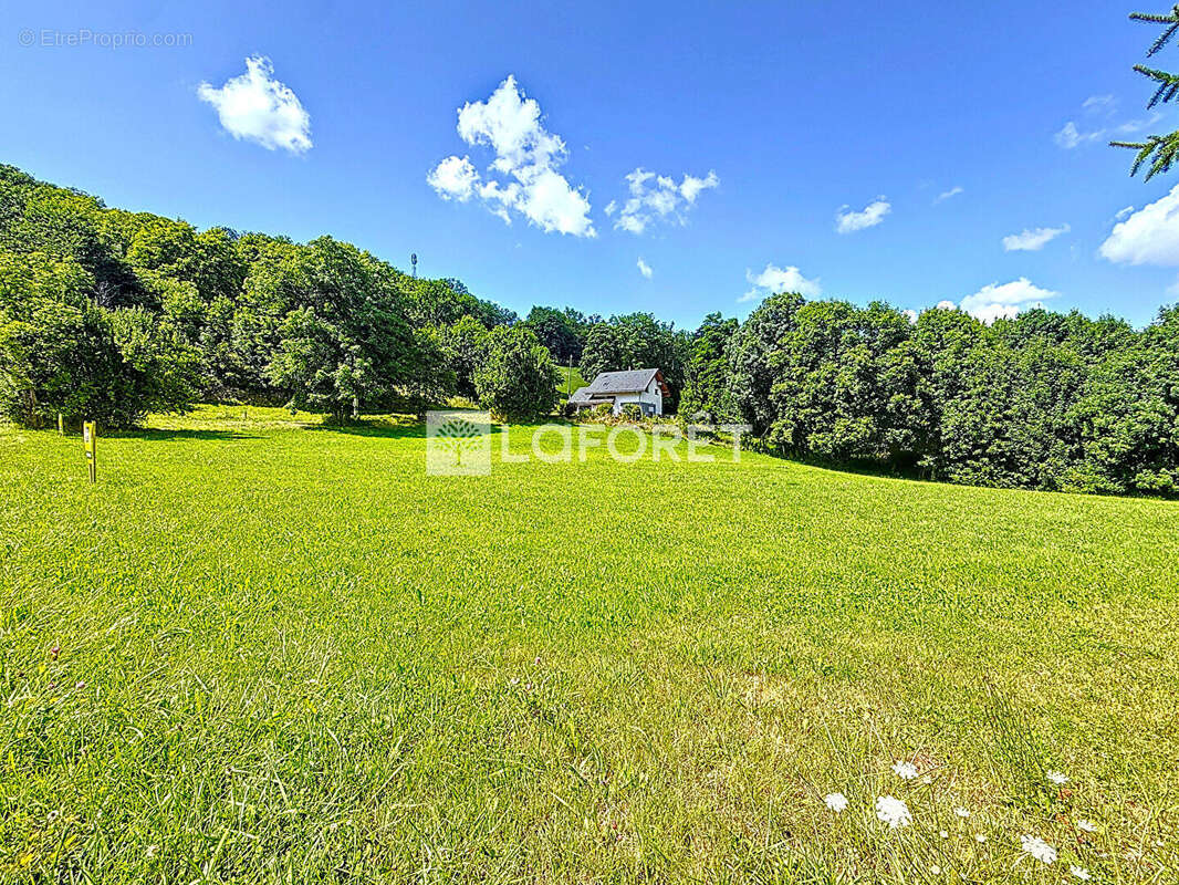Terrain à LES DESERTS