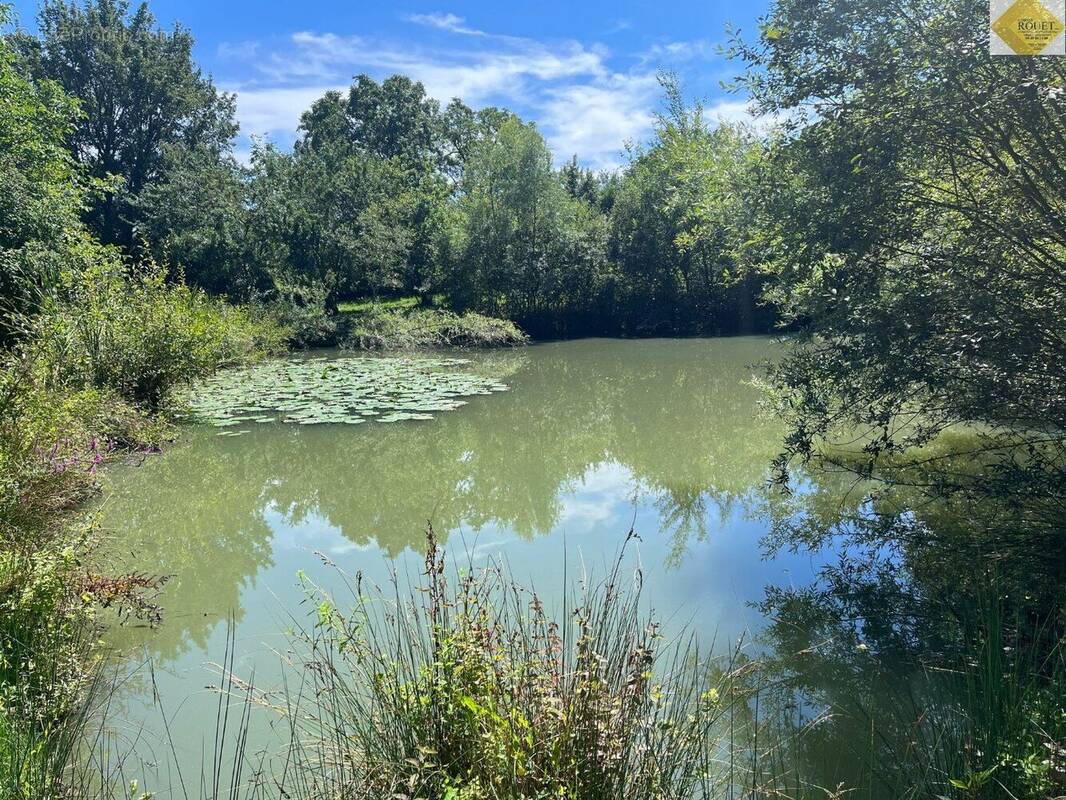 Terrain à PLEUMARTIN