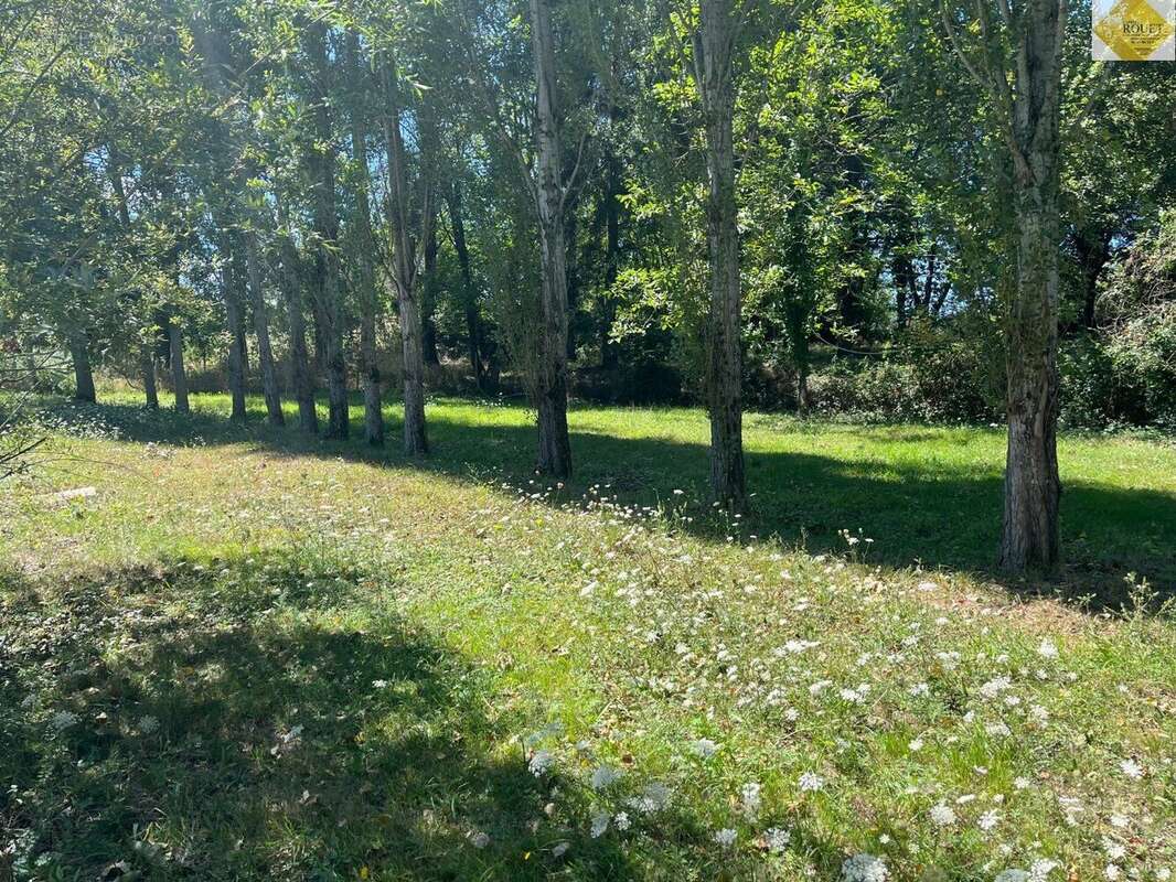 Terrain à PLEUMARTIN