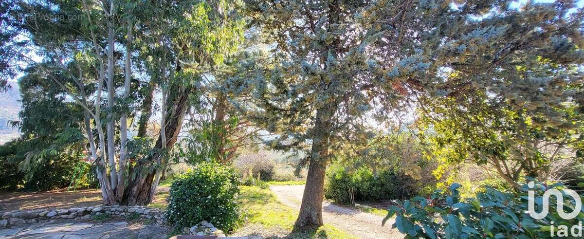 Photo 3 - Maison à NYONS