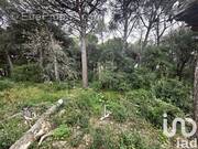 Photo 1 - Terrain à PUGET-SUR-ARGENS