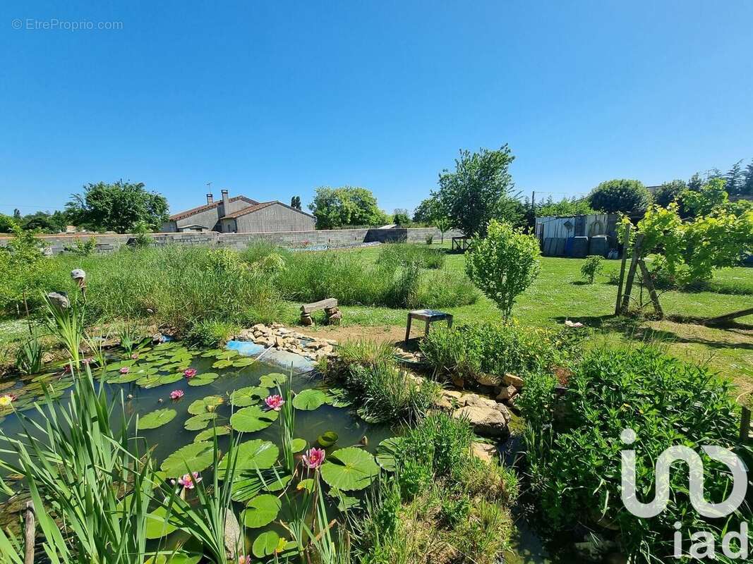 Photo 3 - Maison à LA FERRIERE-EN-PARTHENAY