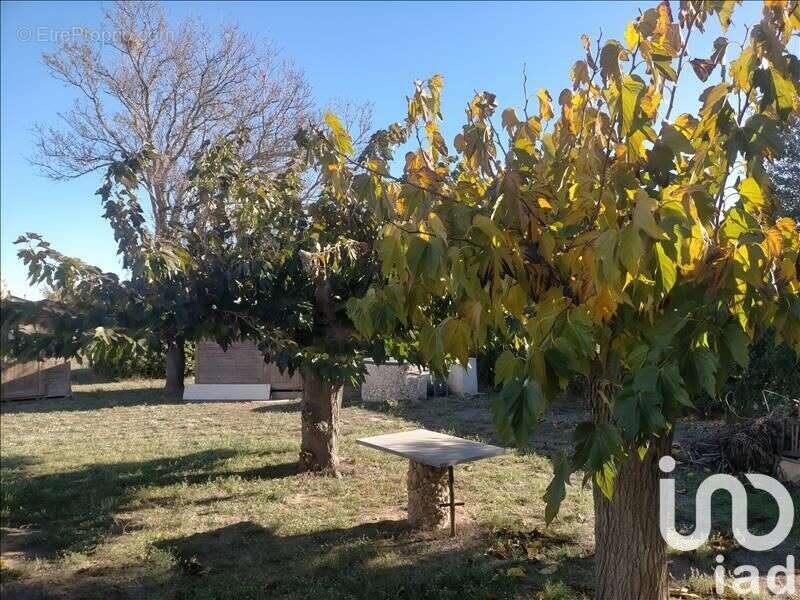 Photo 2 - Terrain à SERIGNAN