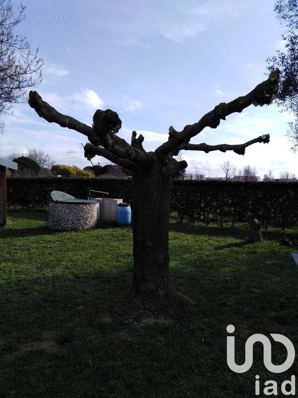 Photo 3 - Terrain à SERIGNAN