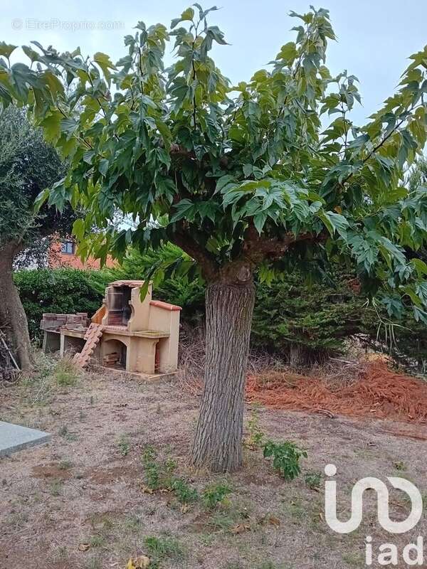 Photo 6 - Terrain à SERIGNAN