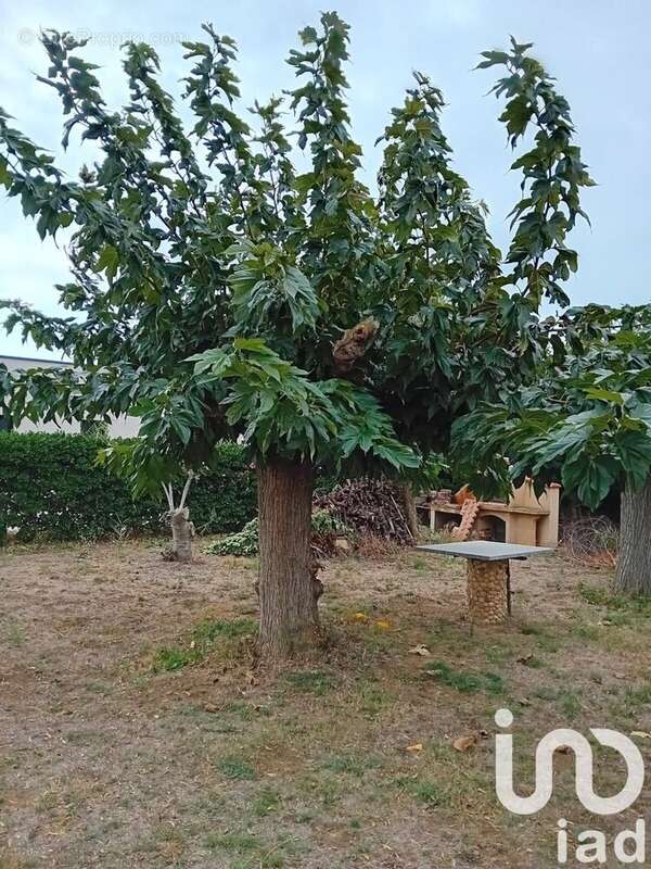 Photo 7 - Terrain à SERIGNAN