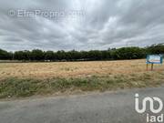 Photo 1 - Terrain à ALLASSAC