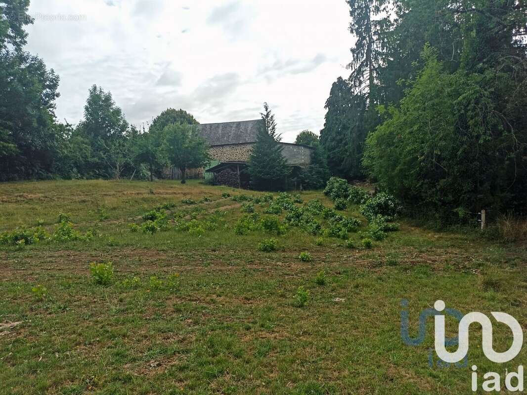 Photo 4 - Maison à SAINT-PARDOUX-CORBIER