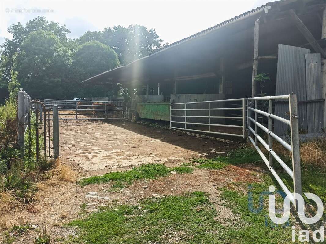 Photo 7 - Maison à SAINT-PARDOUX-CORBIER