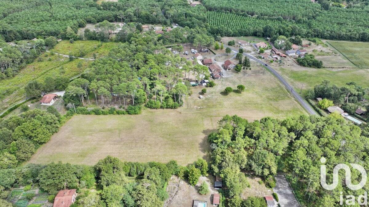 Photo 1 - Maison à SAINT-JULIEN-EN-BORN