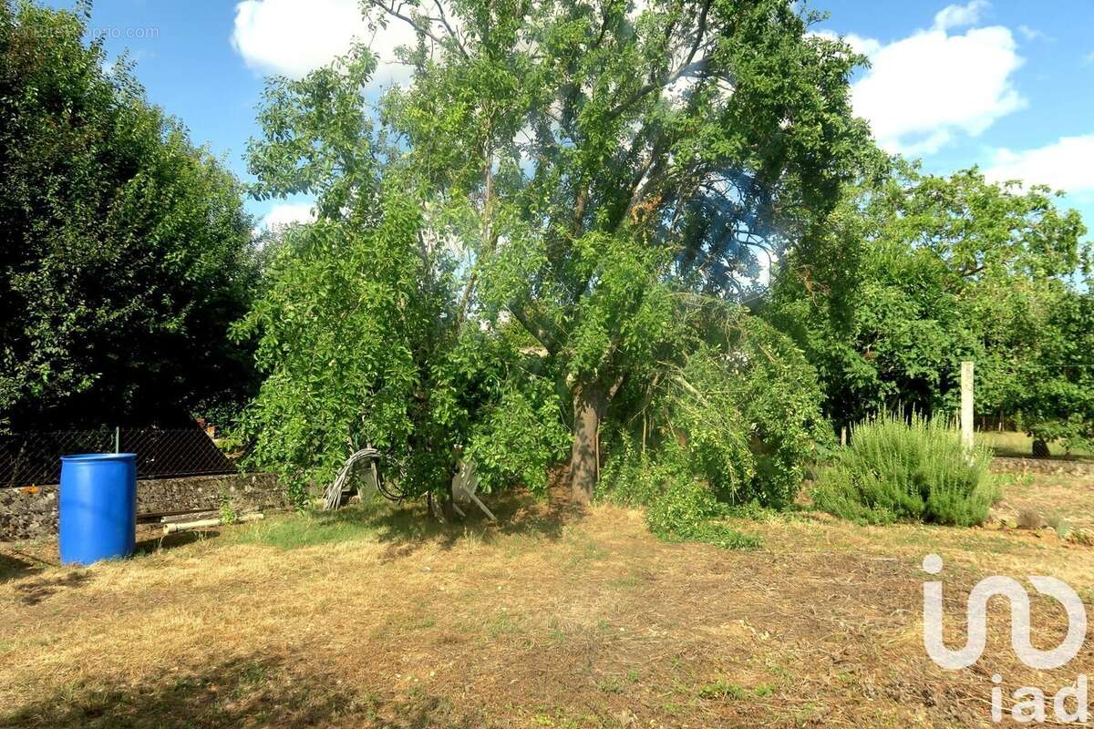 Photo 3 - Terrain à LUSSAC-LES-CHATEAUX