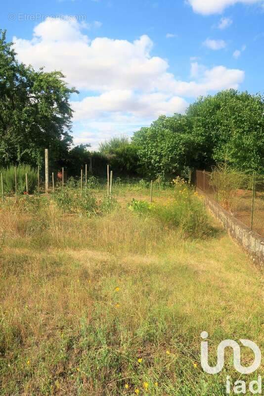 Photo 6 - Terrain à LUSSAC-LES-CHATEAUX