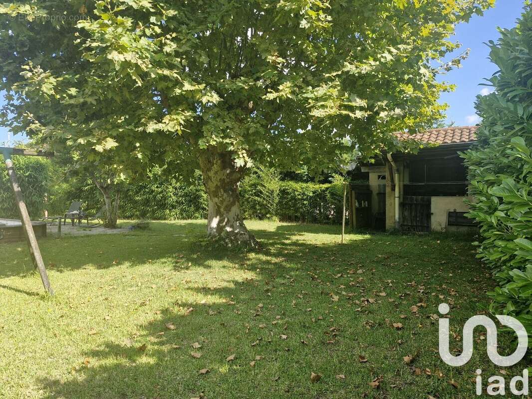 Photo 2 - Terrain à ANGRESSE