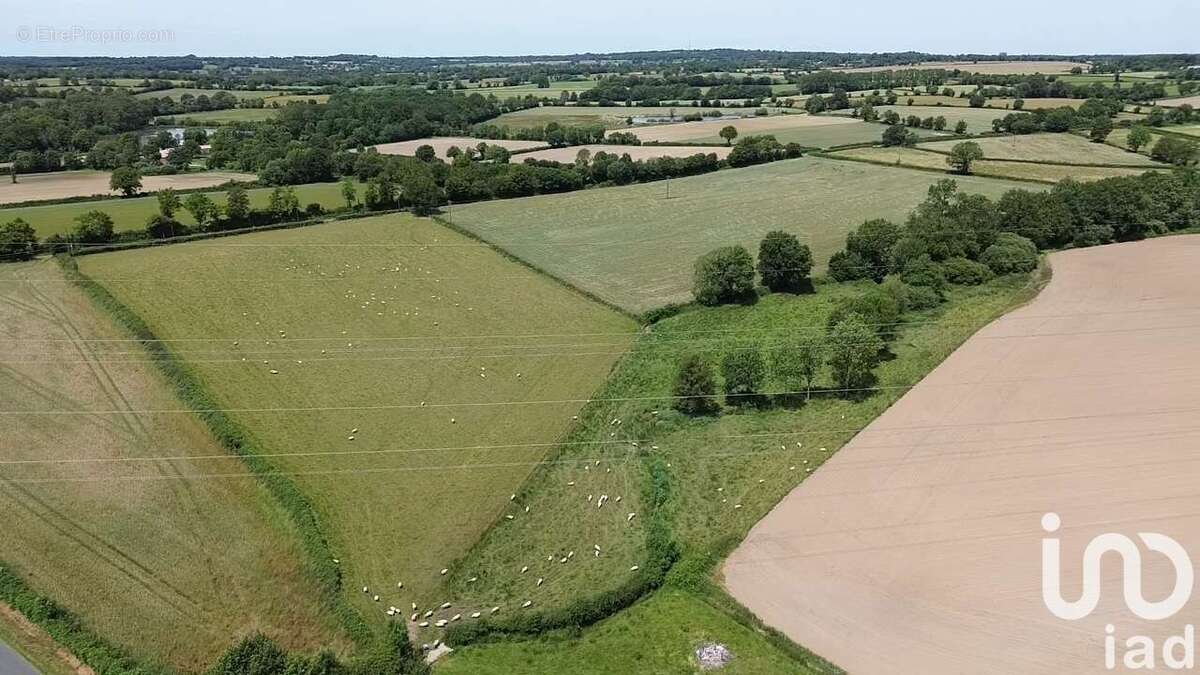 Photo 4 - Maison à VASLES