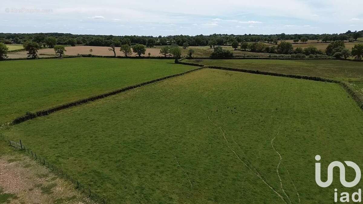 Photo 5 - Maison à VASLES