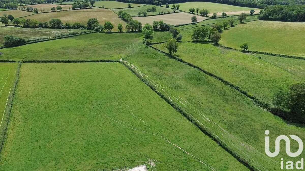 Photo 6 - Maison à VASLES