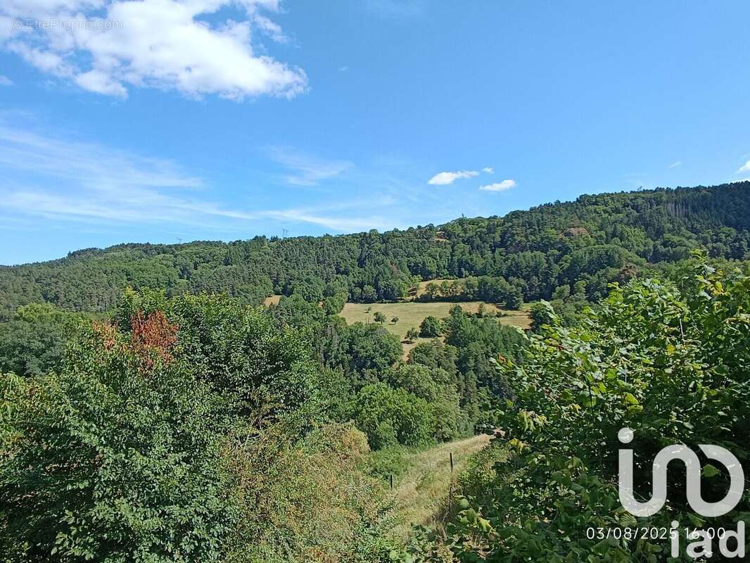 Photo 6 - Maison à POLIGNAC