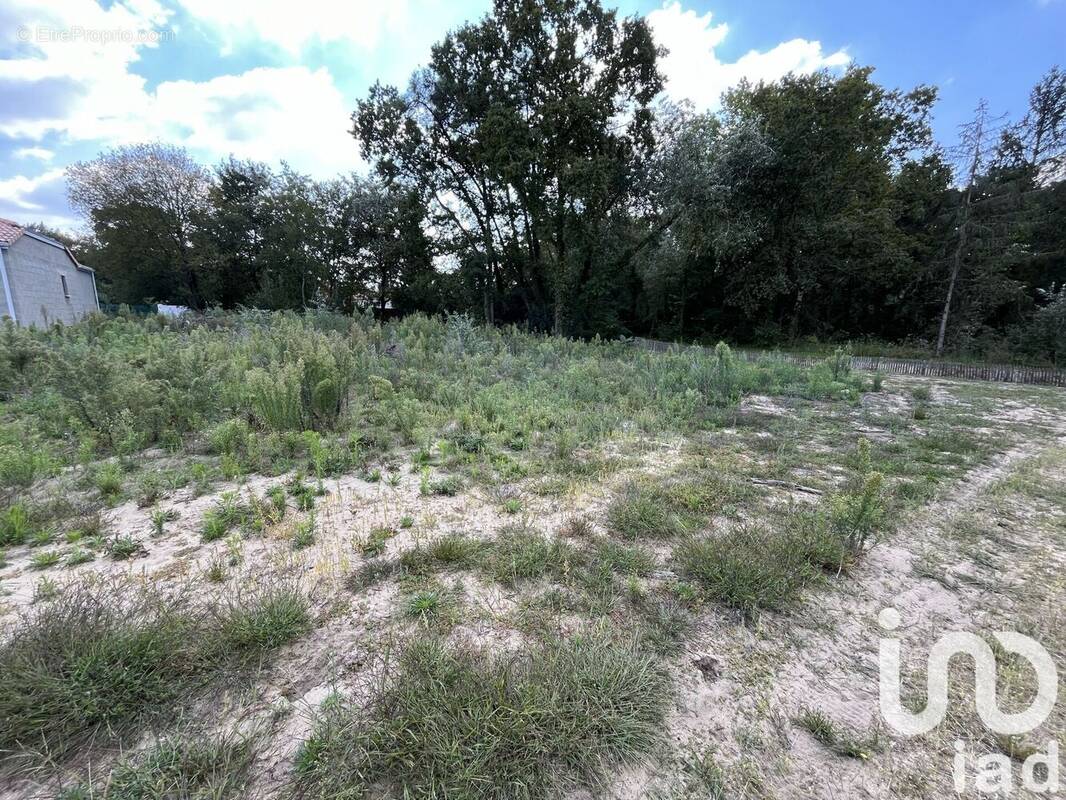 Photo 1 - Terrain à SAINT-HILAIRE-DE-RIEZ