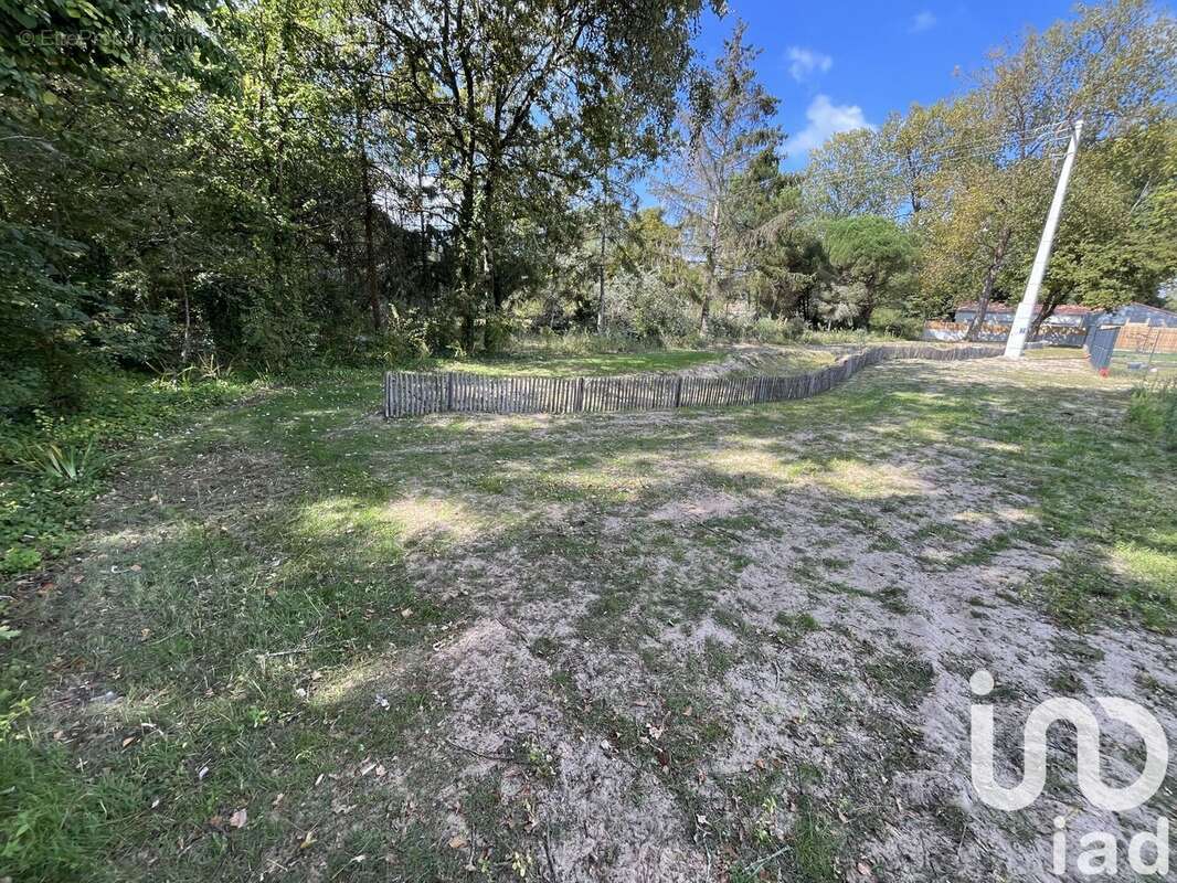 Photo 2 - Terrain à SAINT-HILAIRE-DE-RIEZ