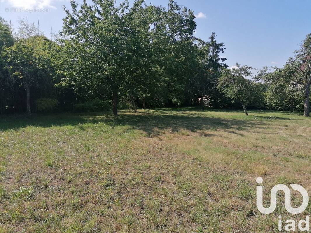 Photo 1 - Terrain à CHATEAU-RENAULT