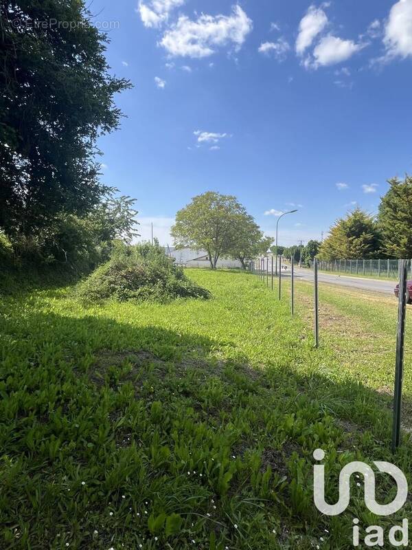 Photo 1 - Terrain à ARCHIAC