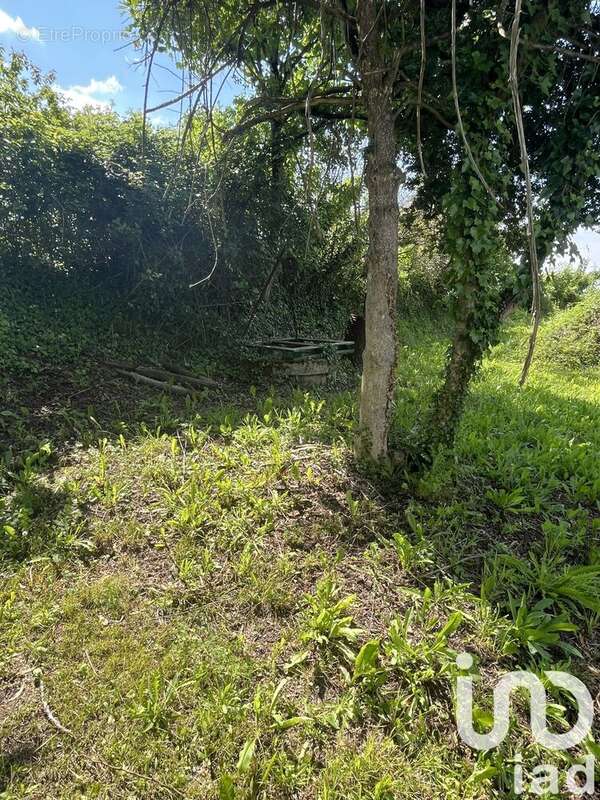 Photo 2 - Terrain à ARCHIAC