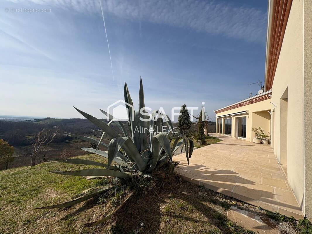 Photo 1 - Maison à MOISSAC