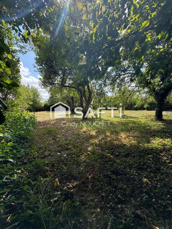 Photo 6 - Terrain à CHATELAIN