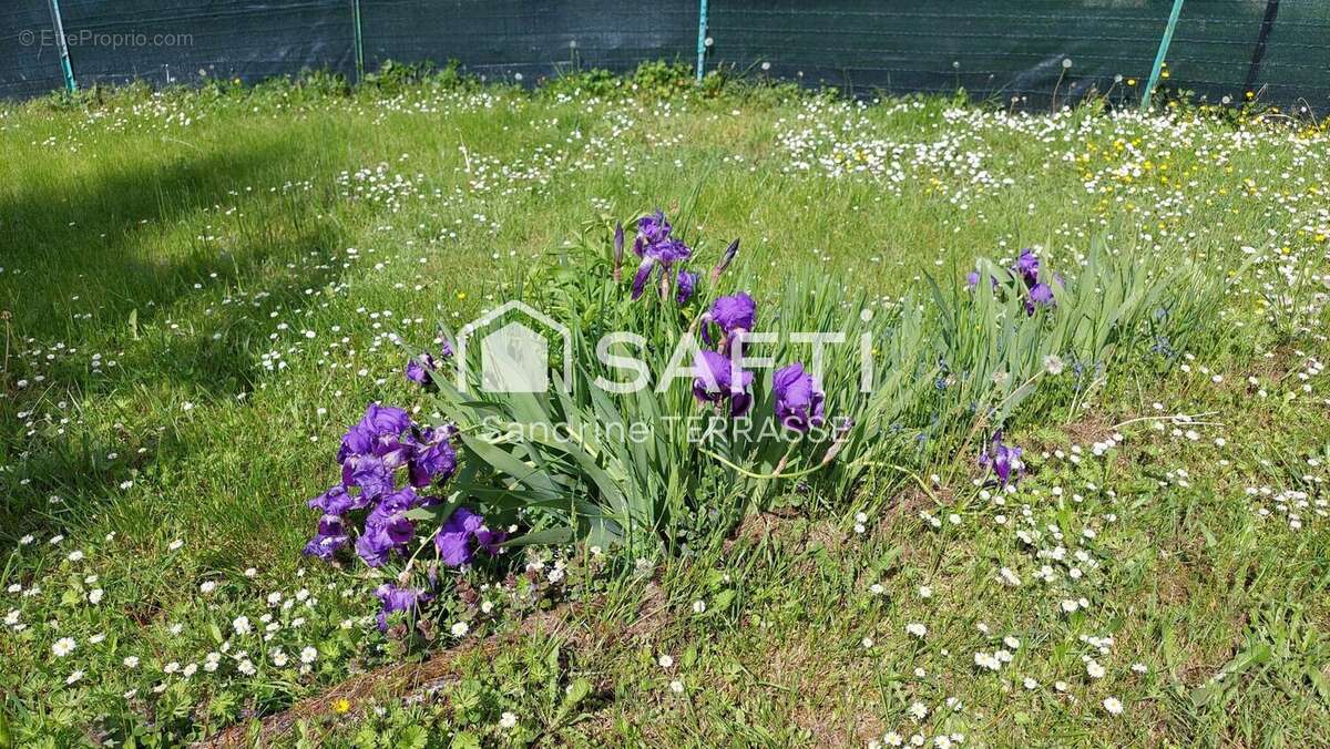Photo 2 - Terrain à JONCHERY-SUR-VESLE