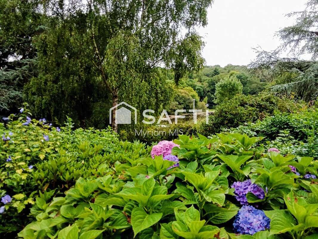 Photo 6 - Maison à SAINT-SENOUX