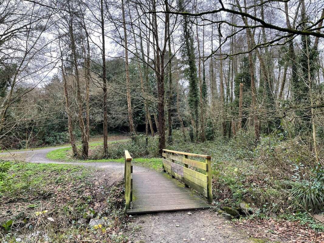 Photo 7 - Appartement à NANTES