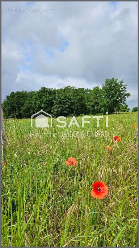 Photo 1 - Terrain à RIBAGNAC