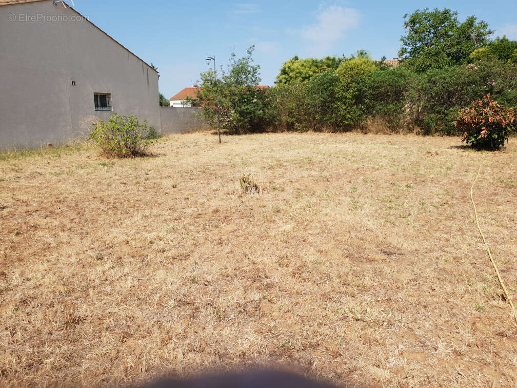 Terrain à SAINT-NAZAIRE-D&#039;AUDE