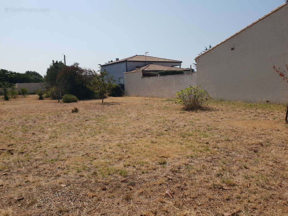 Terrain à SAINT-NAZAIRE-D&#039;AUDE