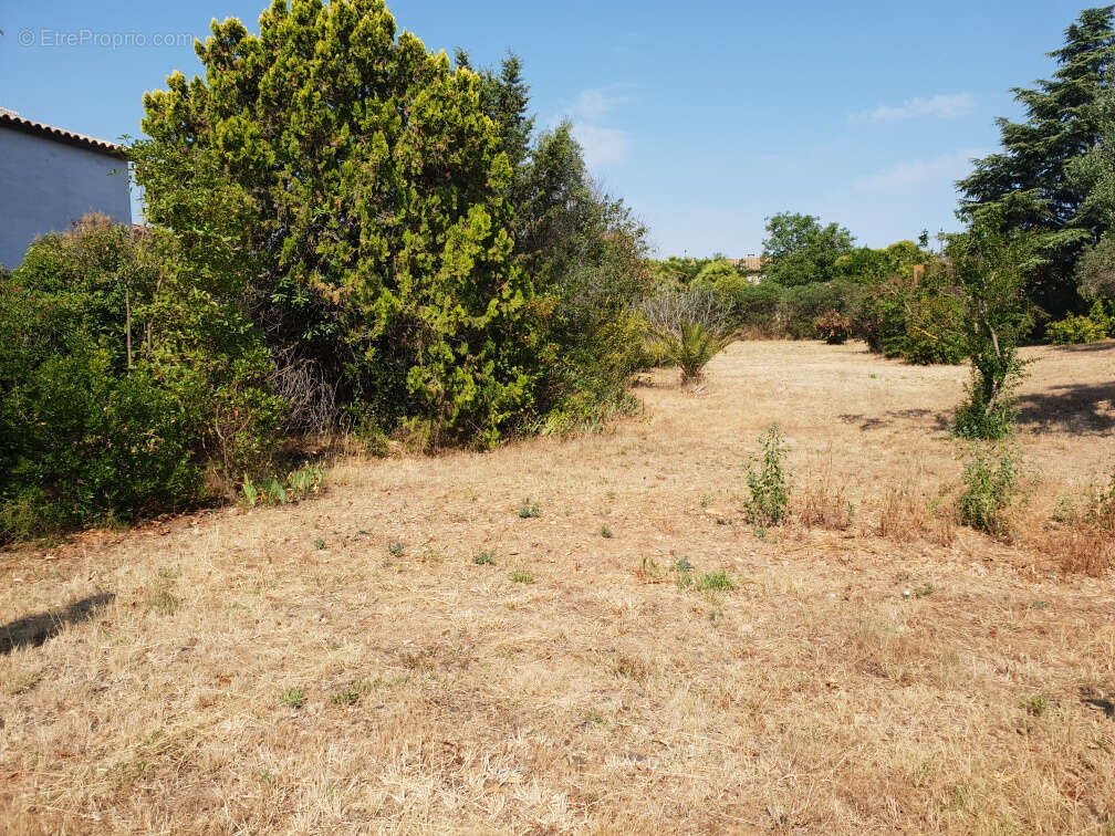 Terrain à SAINT-NAZAIRE-D&#039;AUDE