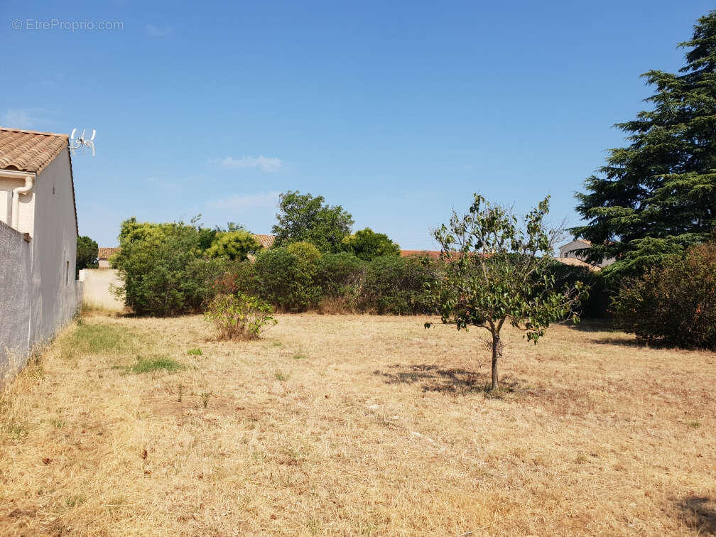 Terrain à SAINT-NAZAIRE-D&#039;AUDE