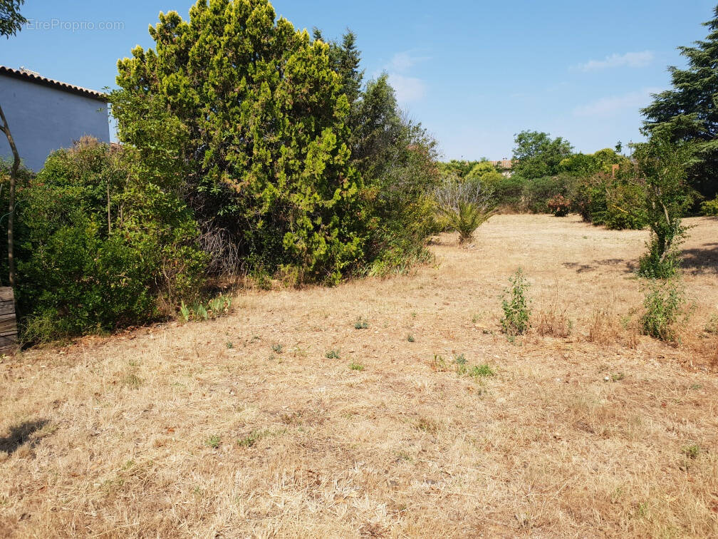 Terrain à SAINT-NAZAIRE-D&#039;AUDE