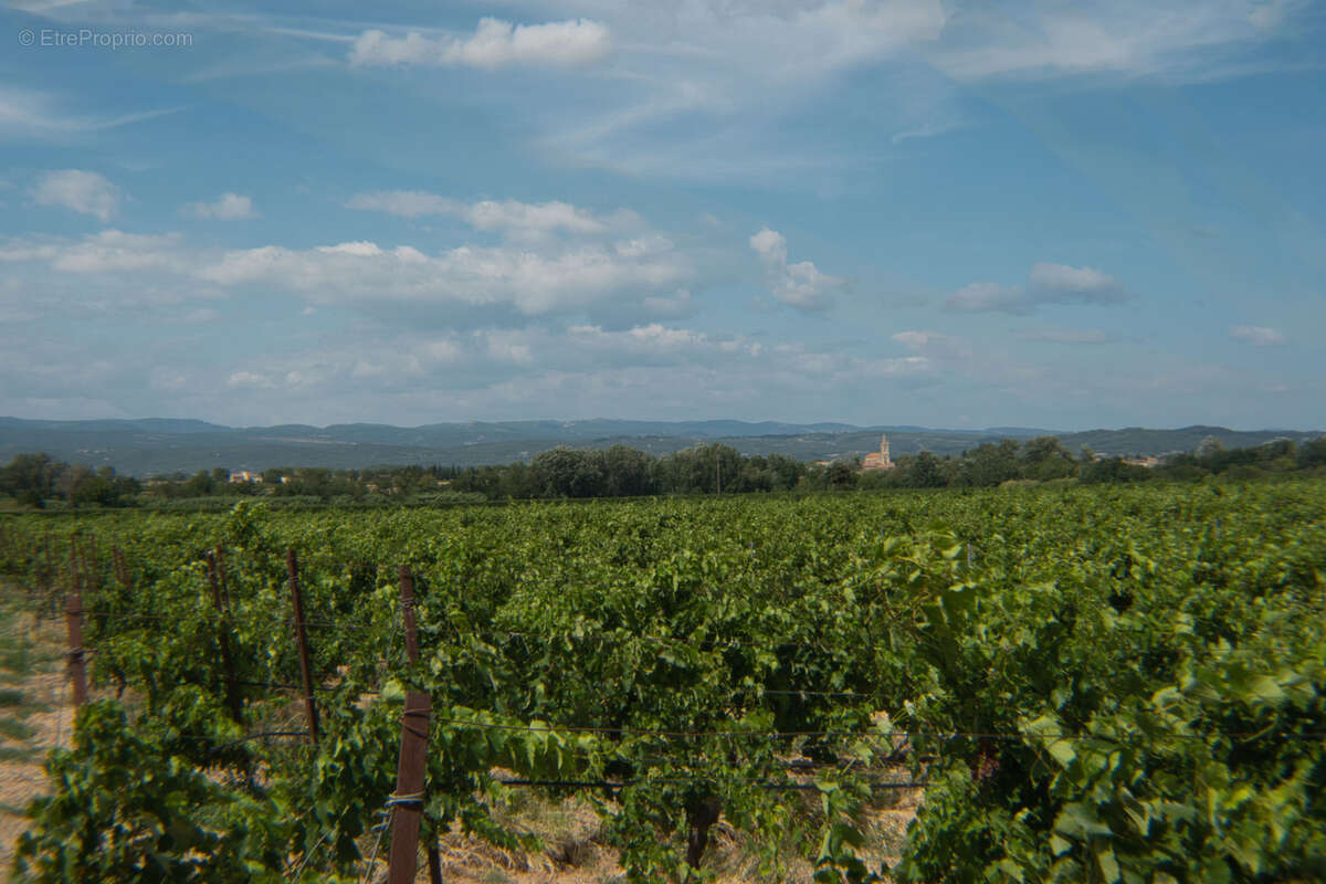 Maison à TOUROUZELLE