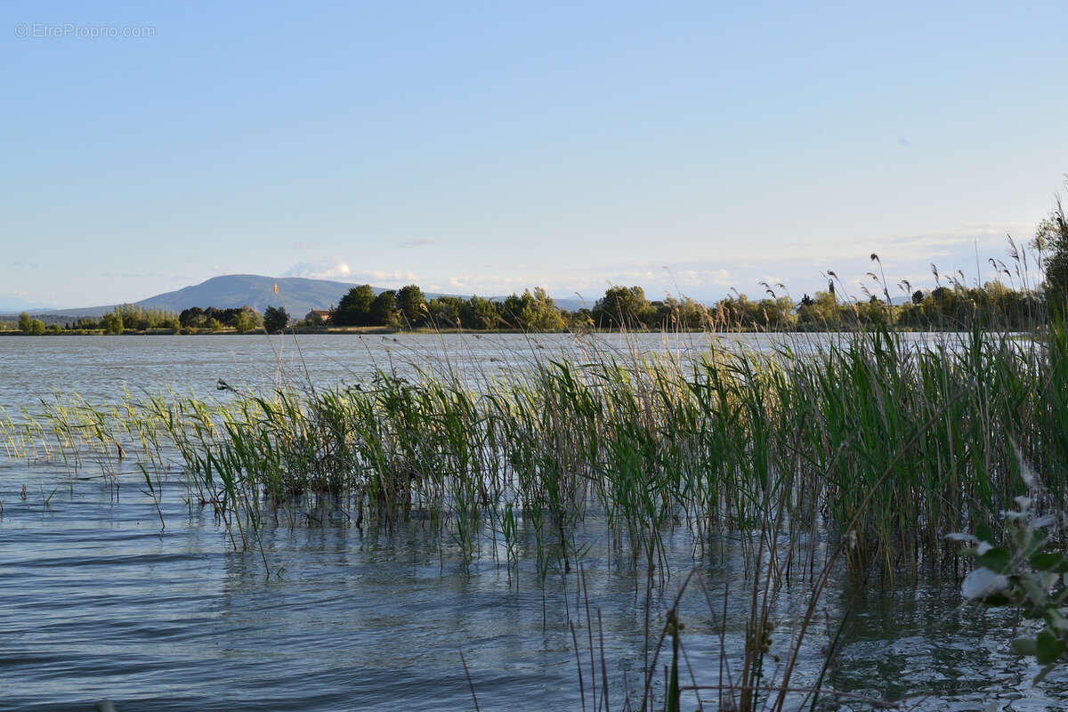 Maison à TOUROUZELLE