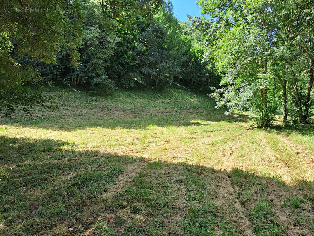 Terrain à REMUZAT