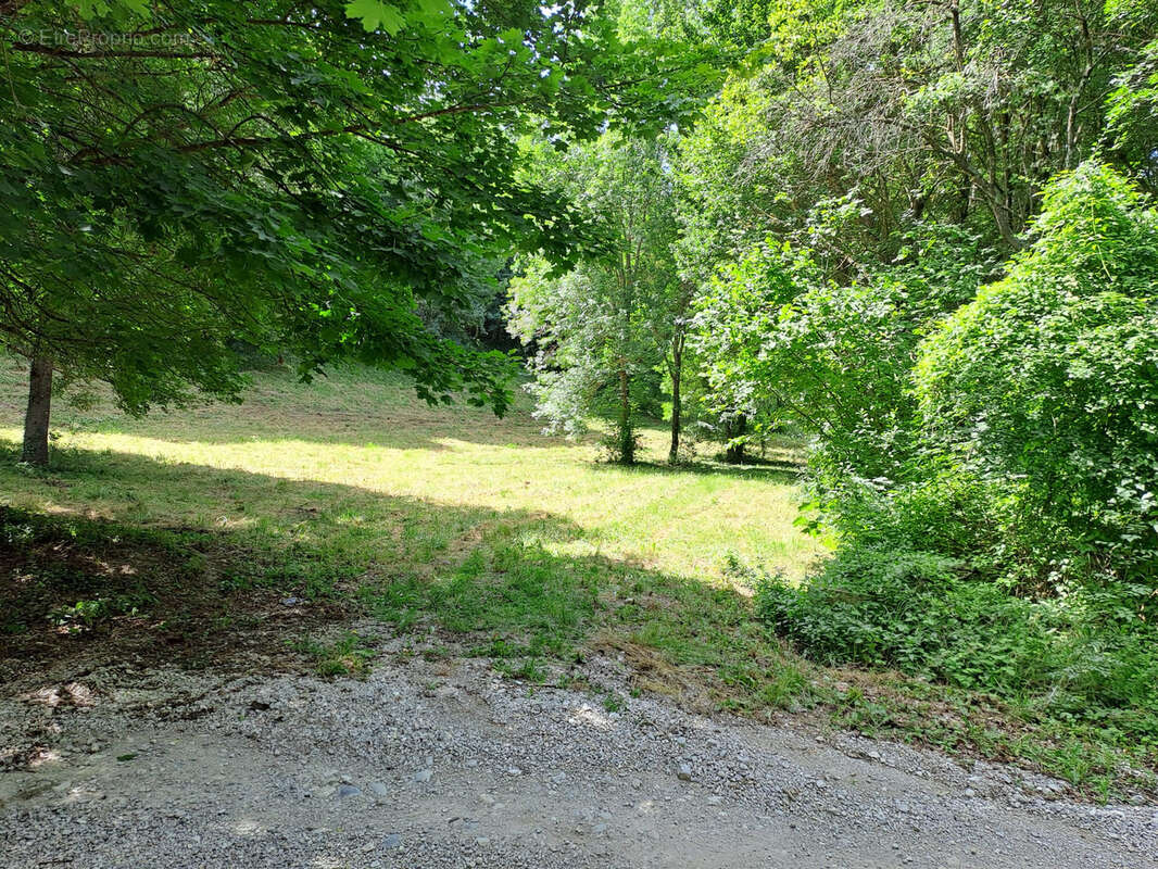 Terrain à REMUZAT