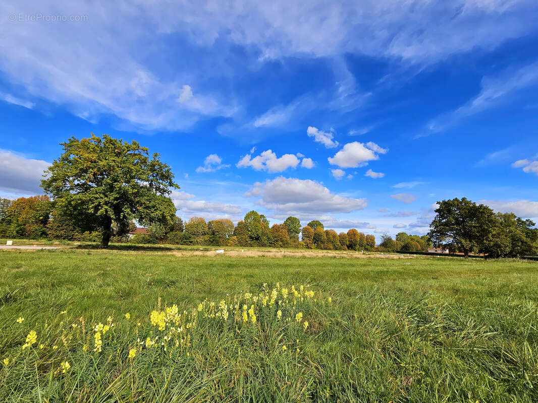 Terrain à BELLERIVE-SUR-ALLIER