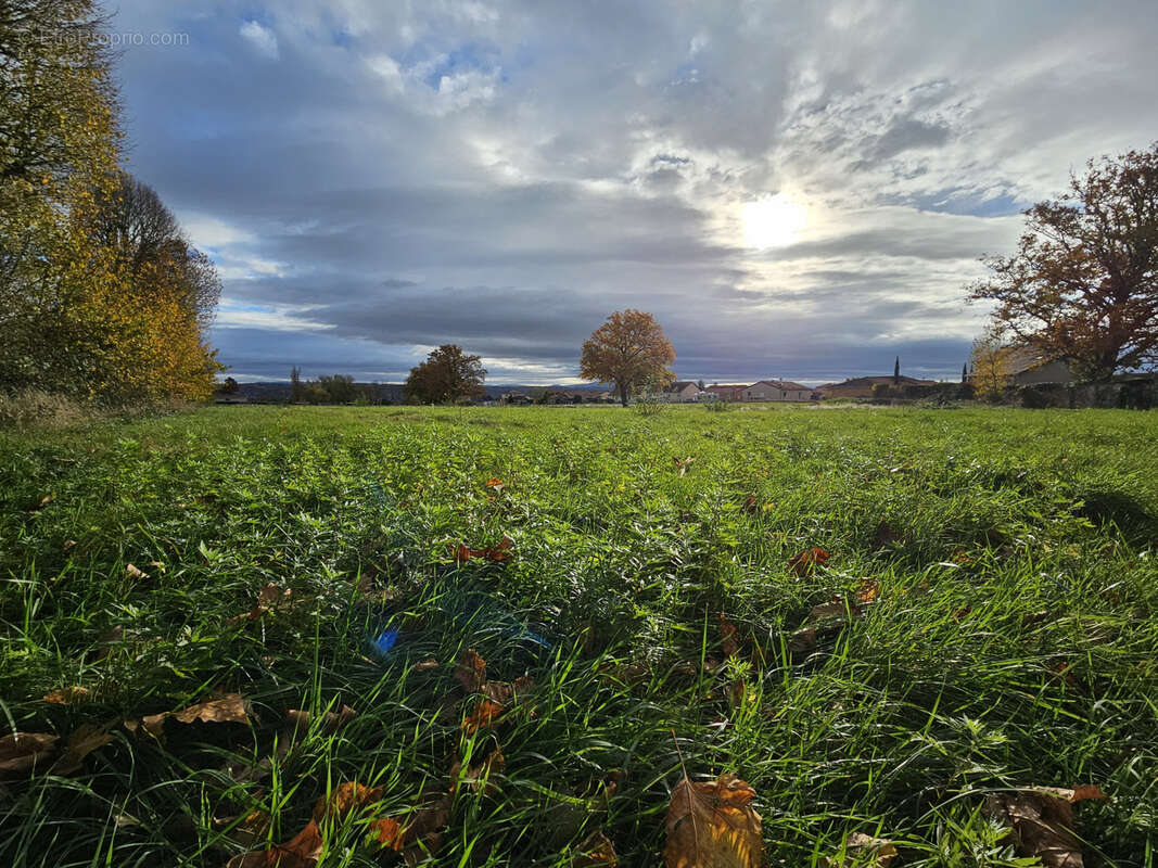Terrain à BELLERIVE-SUR-ALLIER