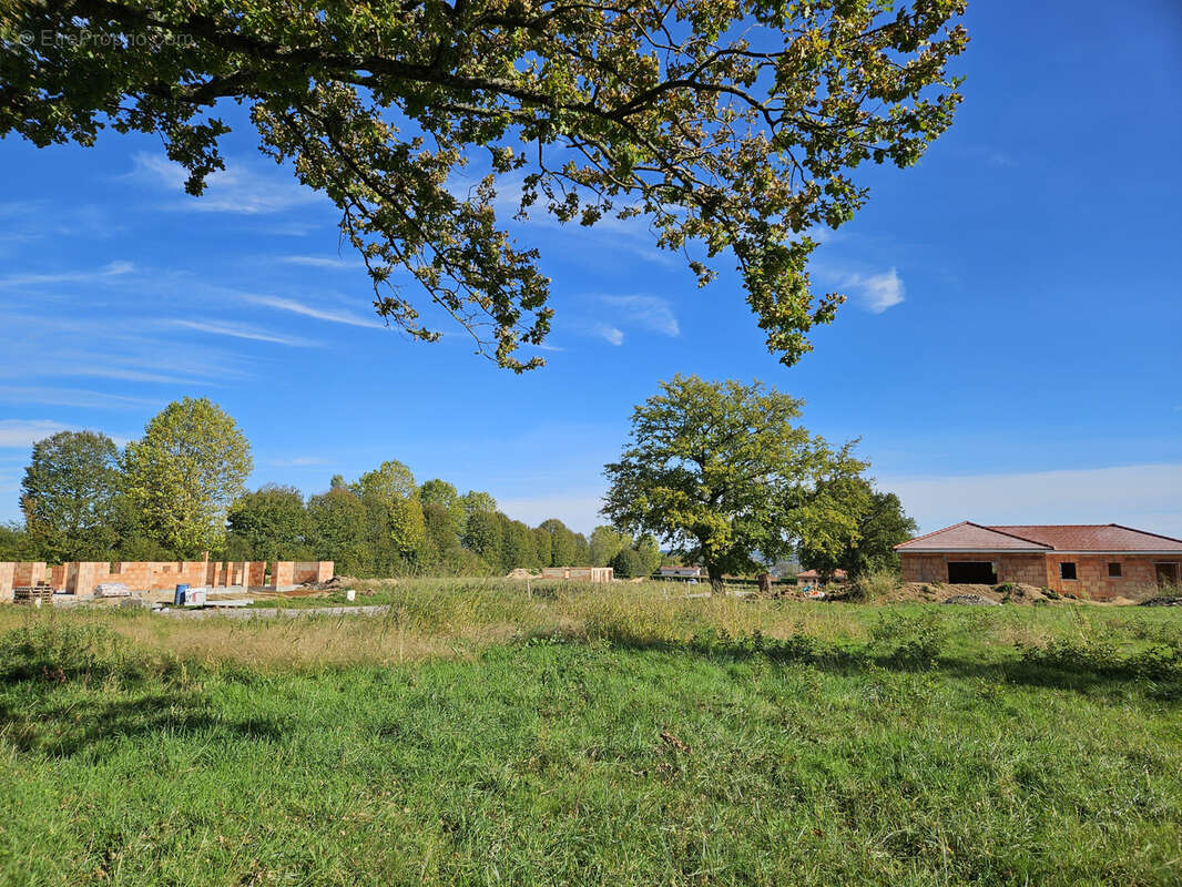Terrain à BELLERIVE-SUR-ALLIER