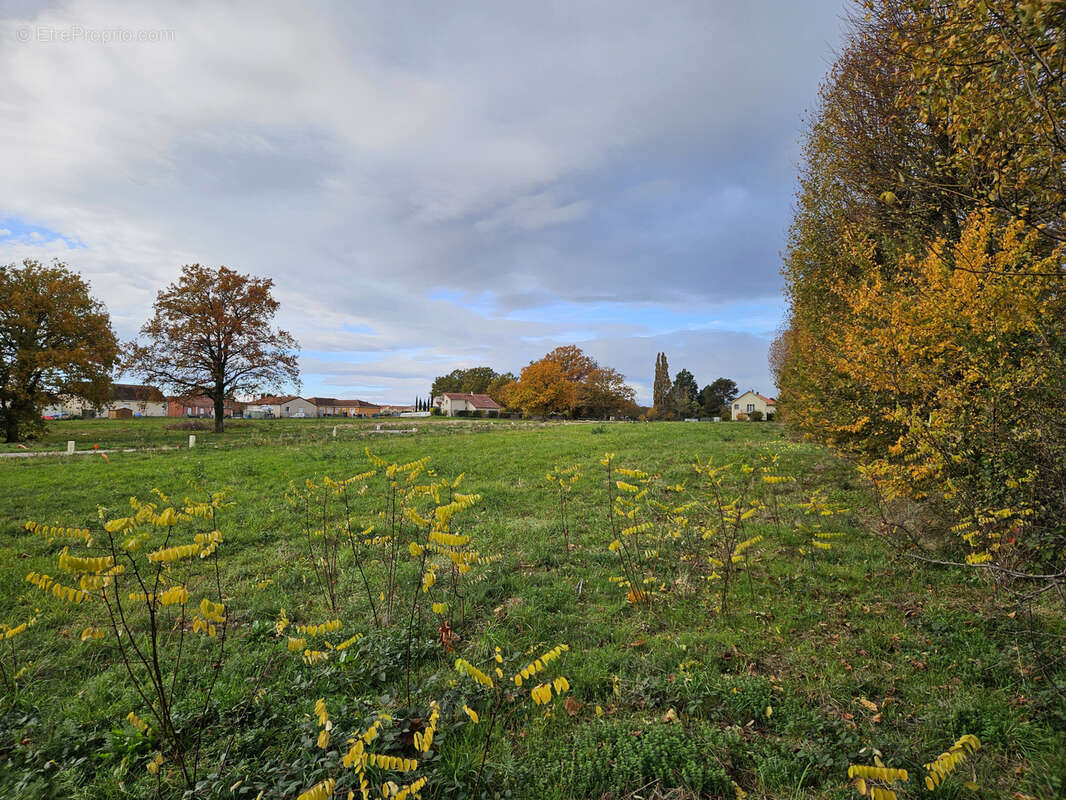 Terrain à BELLERIVE-SUR-ALLIER