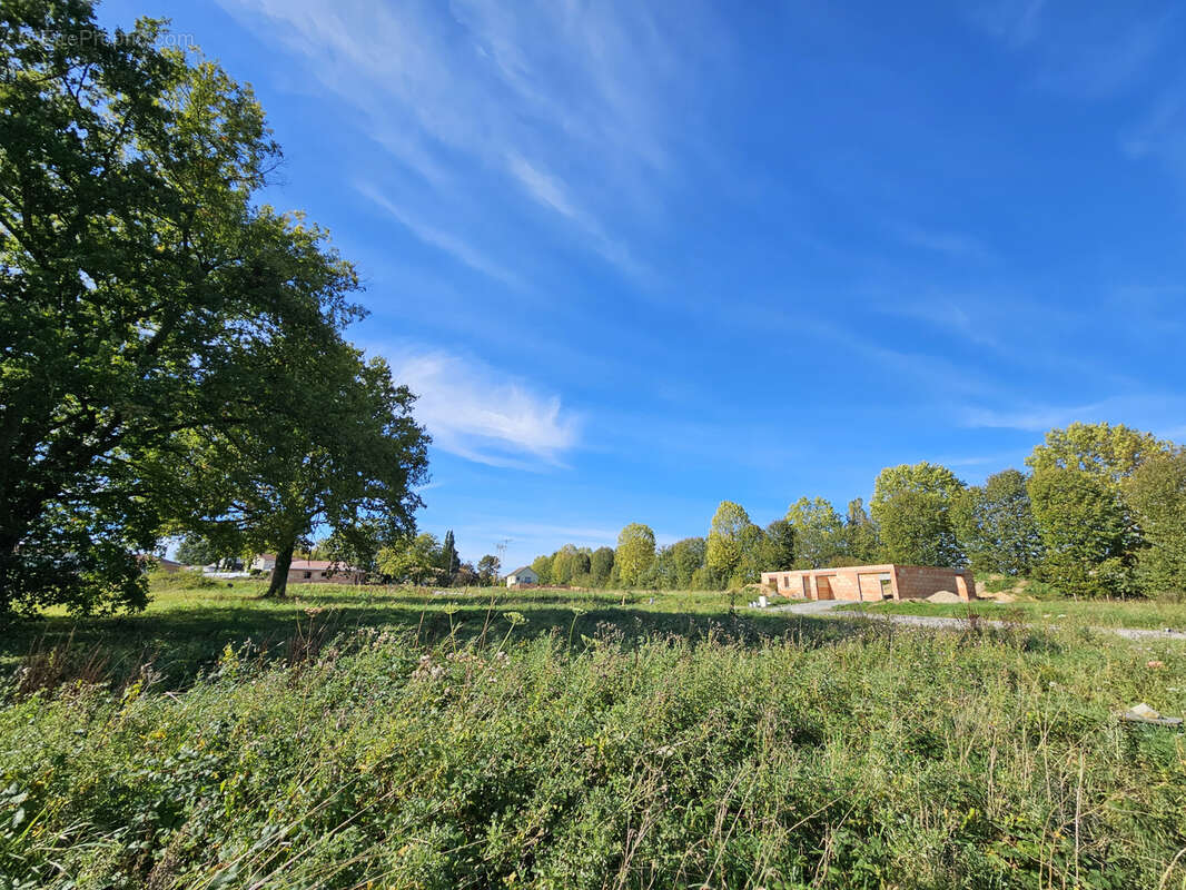 Terrain à BELLERIVE-SUR-ALLIER
