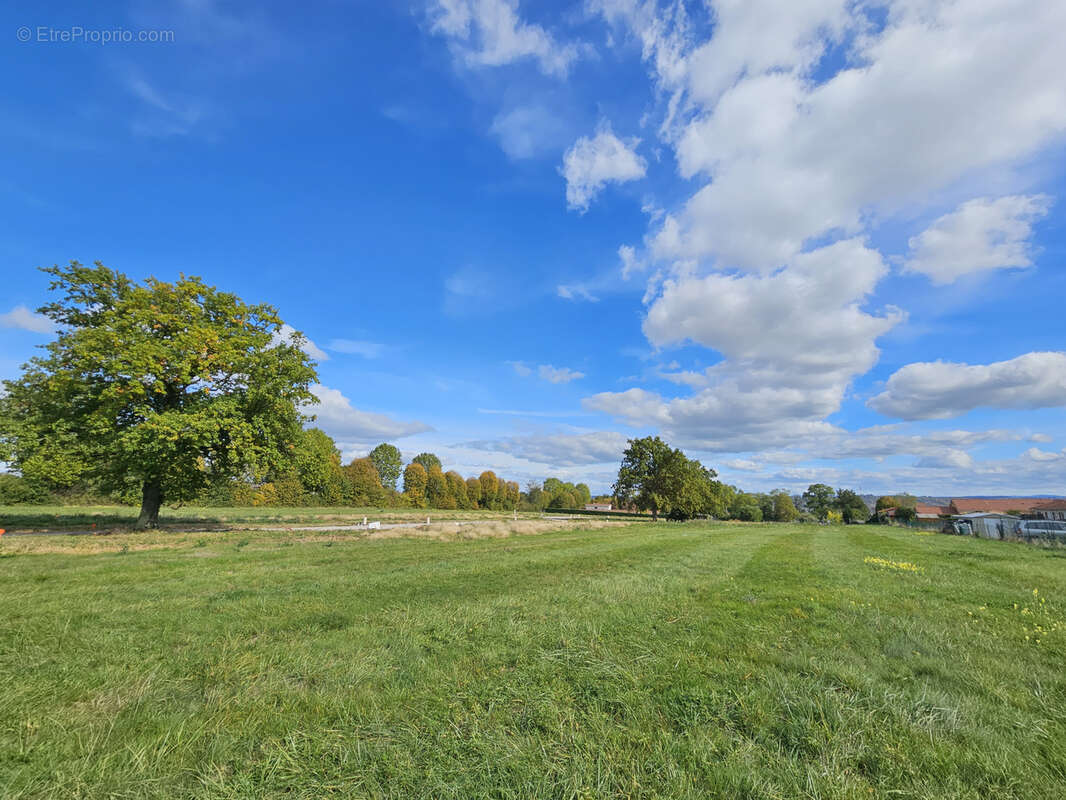 Terrain à BELLERIVE-SUR-ALLIER
